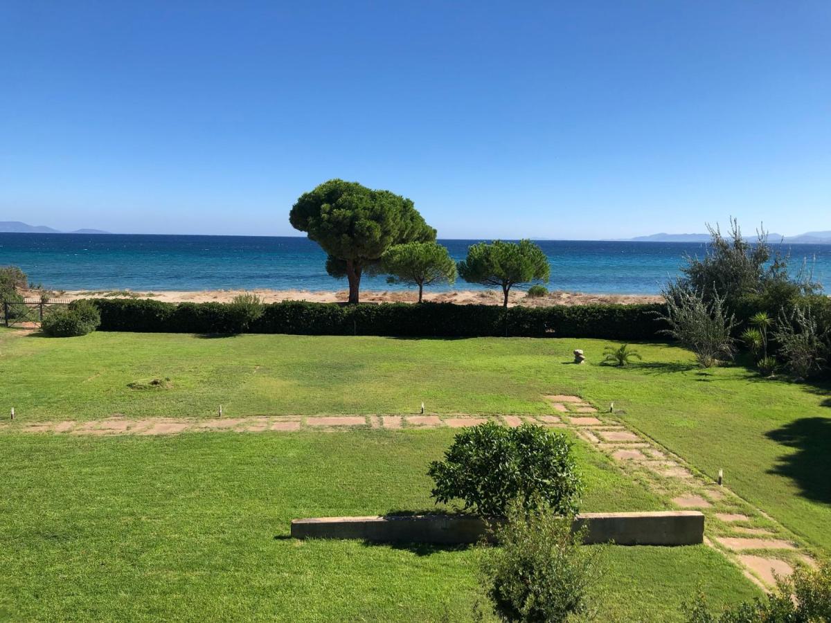 Beachfront Villa Hoopoe Schinias, Marathon المظهر الخارجي الصورة