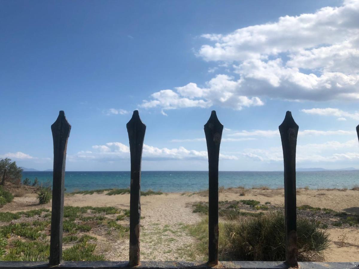 Beachfront Villa Hoopoe Schinias, Marathon المظهر الخارجي الصورة
