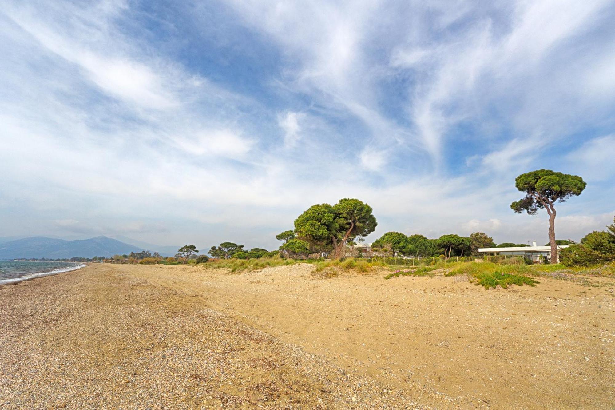 Beachfront Villa Hoopoe Schinias, Marathon المظهر الخارجي الصورة